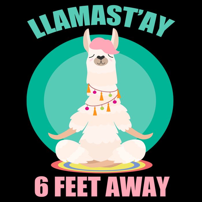 Llamast'ay 6 Feet Away Funny Social Distancing Cooling Performance Crew T-Shirt