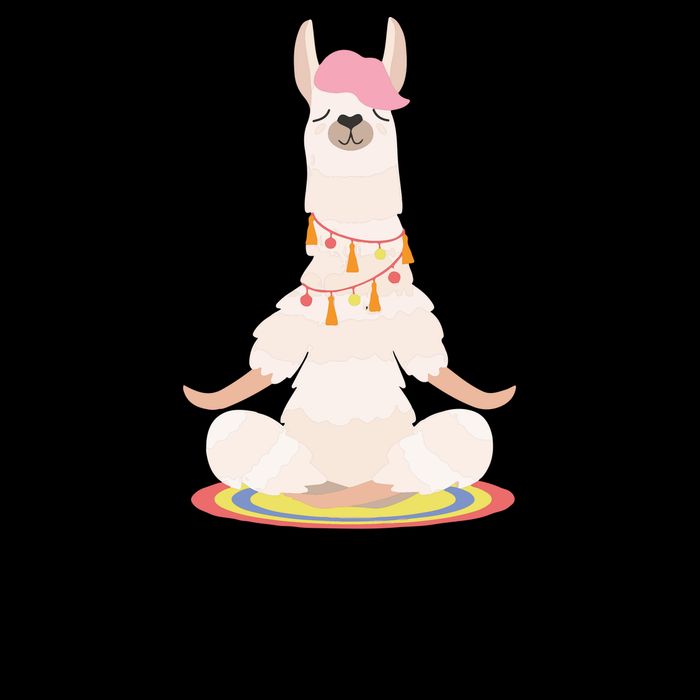 Llamaste Funny Lama Mug