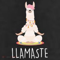 Llamaste Funny Lama 11oz C Handle Ceramic Mug
