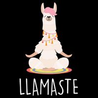 Llamaste Funny Lama Women's Perfect Tri Tunic Long Sleeve Shirt