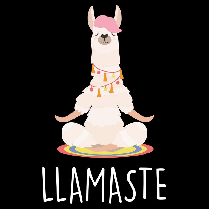 Llamaste Funny Lama Women's Perfect Tri Tunic Long Sleeve Shirt