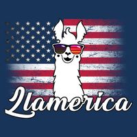 Llamerica Merica Flag 16 in Basic Backpack