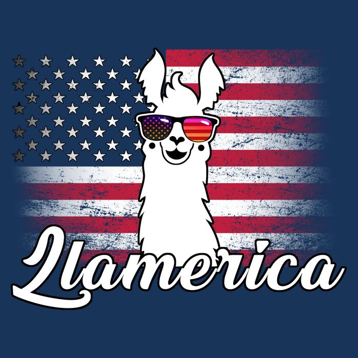 Llamerica Merica Flag 16 in Basic Backpack