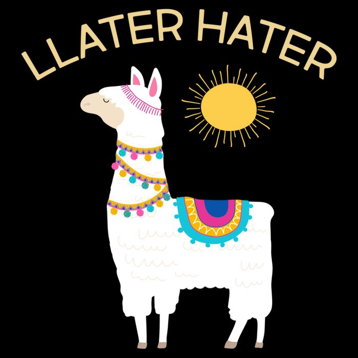 Llater Hater Llama City Backpack