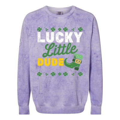 Lucky Little Dude Funny St Patricks Day Gift Colorblast Crewneck Sweatshirt