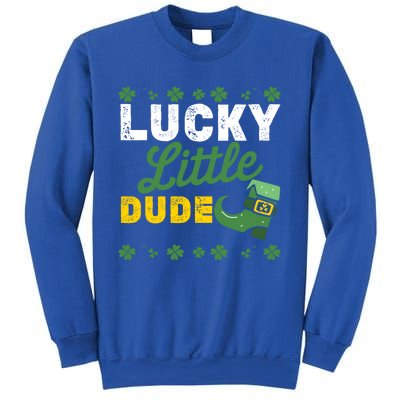 Lucky Little Dude Funny St Patricks Day Gift Sweatshirt