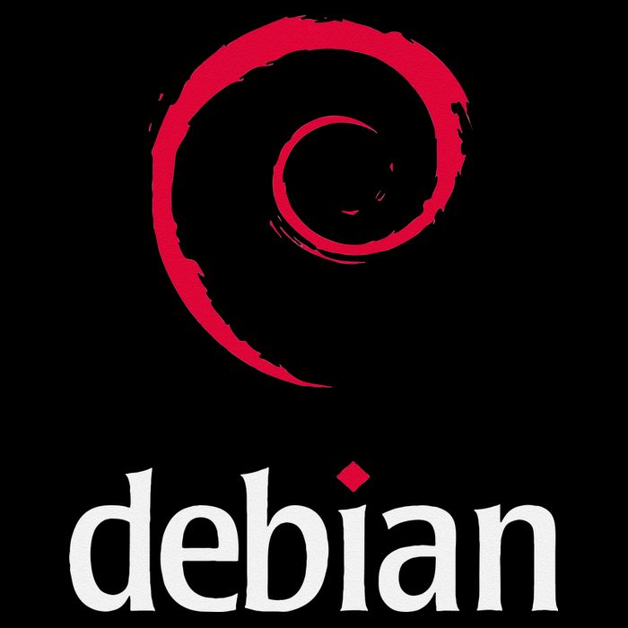 Linux Lover Debian Tagline Spiral Logo OpenSource Os Wool Snapback Cap