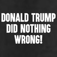 Laura Loomer Donald Trump Did Nothing Wrong 7 Panel Mesh Trucker Snapback Hat