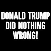 Laura Loomer Donald Trump Did Nothing Wrong 16 in Basic Backpack