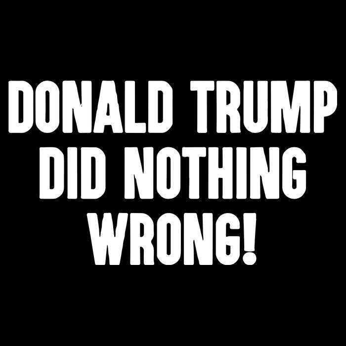 Laura Loomer Donald Trump Did Nothing Wrong 16 in Basic Backpack