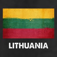 Lithuanian Lithuania Flag Swea Crop Fleece Hoodie