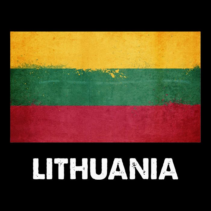 Lithuanian Lithuania Flag Swea Full Zip Hoodie