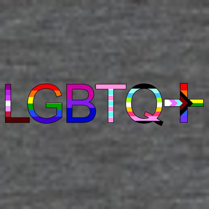 LGBTQ + Lesbian Gay Bi Transgender Queer Rainbow Logo Flatbill Hat