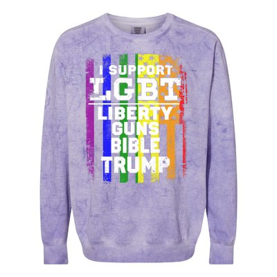 LGBT LIBERTY, GUNS, BIBLE, TRUMP Funny I Support LGBT Parody Election Gift Colorblast Crewneck Sweatshirt