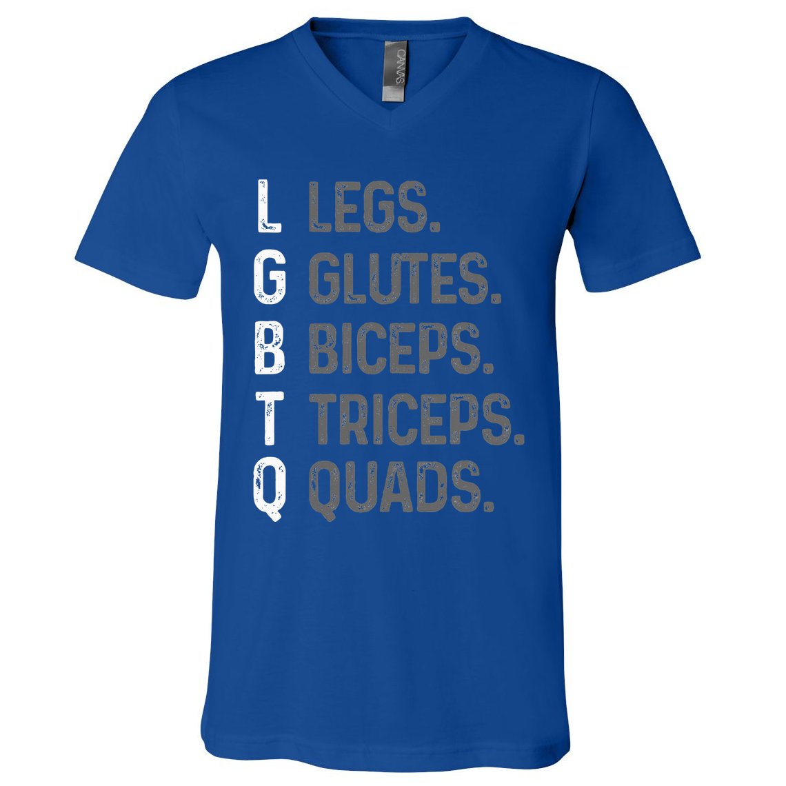 Lgbtq Legs Glutes Biceps Triceps Quads Gym V-Neck T-Shirt