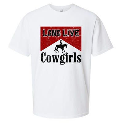 Long Live Howdy Rodeo Western Country Southern Sueded Cloud Jersey T-Shirt