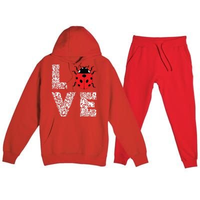 Ladybugs Love Insects Bugs Entomology Sweet Premium Hooded Sweatsuit Set