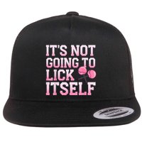 Lollipop Lick It Not Going To Lick Itself Candy Sweet Flat Bill Trucker Hat