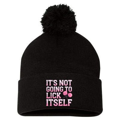 Lollipop Lick It Not Going To Lick Itself Candy Sweet Pom Pom 12in Knit Beanie