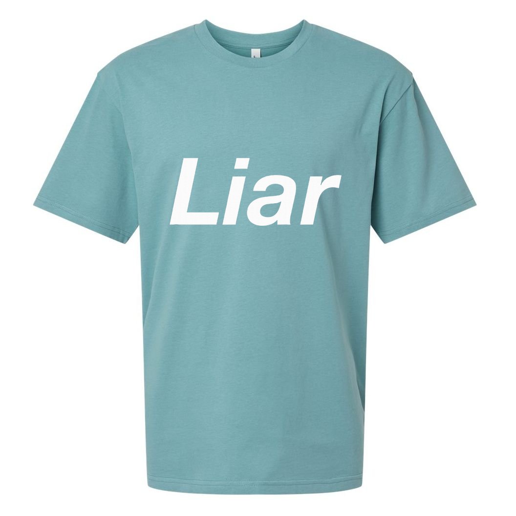 Liar Sueded Cloud Jersey T-Shirt