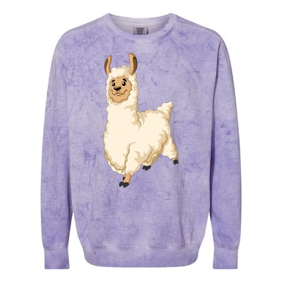 Llama Colorblast Crewneck Sweatshirt