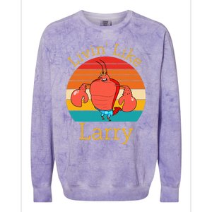 Livin Like Larry Colorblast Crewneck Sweatshirt