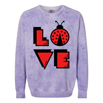 Love Ladybug Lady Bug I Love Ladybirds Lucky Insects Gift Colorblast Crewneck Sweatshirt