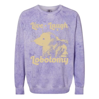 Live Laugh Lobotomy Lobotomies Opossum Lovers Colorblast Crewneck Sweatshirt