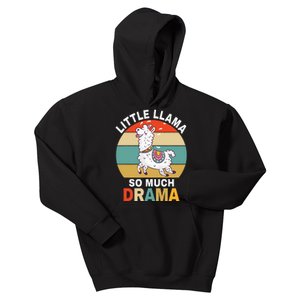 Llama Little Llama So Much Drama Kids Hoodie