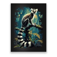 Lemurs Lemur Poster