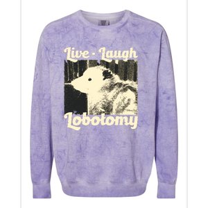 Live Laugh Lobotomy Funny Opossum Colorblast Crewneck Sweatshirt