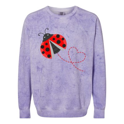 Ladybeetle Ladybugs Nature Lover Insect Fans Entomophile Colorblast Crewneck Sweatshirt