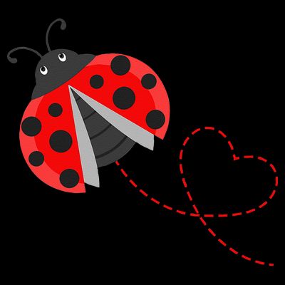Ladybeetle Ladybugs Nature Lover Insect Fans Entomophile T-Shirt