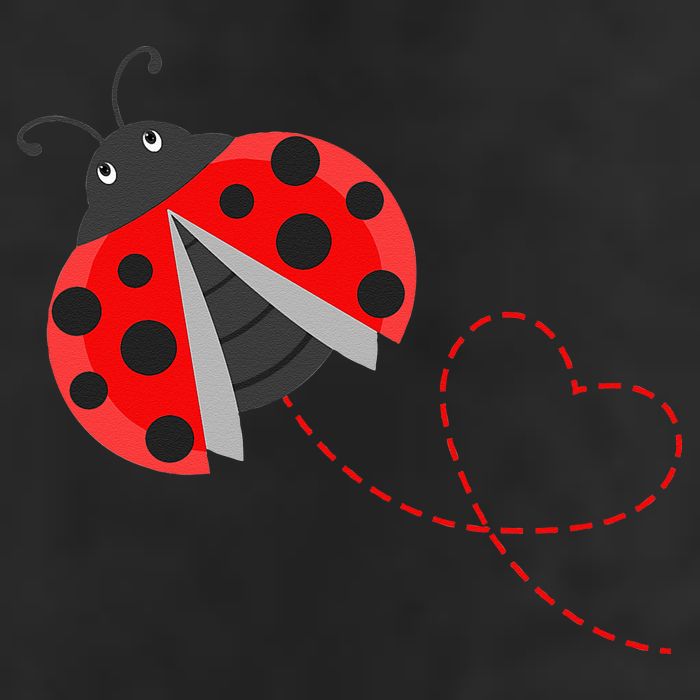 Ladybeetle Ladybugs Nature Lover Insect Fans Entomophile Adult Drive Performance Visor