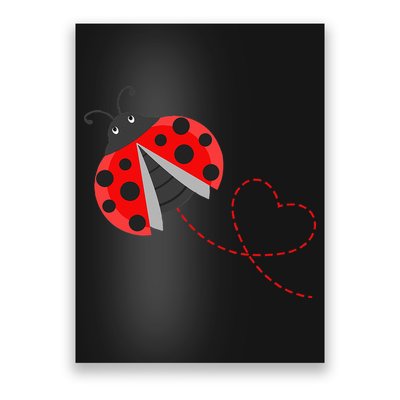 Ladybeetle Ladybugs Nature Lover Insect Fans Entomophile Poster