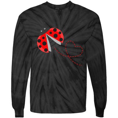 Ladybeetle Ladybugs Nature Lover Insect Fans Entomophile Tie-Dye Long Sleeve Shirt