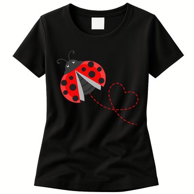 Ladybeetle Ladybugs Nature Lover Insect Fans Entomophile Womens T-Shirt