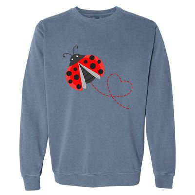 Ladybeetle Ladybugs Nature Lover Insect Fans Entomophile Garment-Dyed Sweatshirt