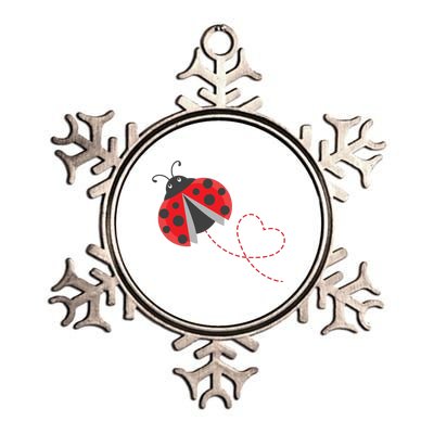 Ladybeetle Ladybugs Nature Lover Insect Fans Entomophile Metallic Star Ornament