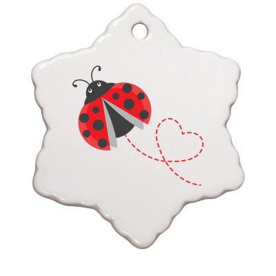 Ladybeetle Ladybugs Nature Lover Insect Fans Entomophile Ceramic Star Ornament