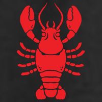 Lobster Adult Drive Performance Visor
