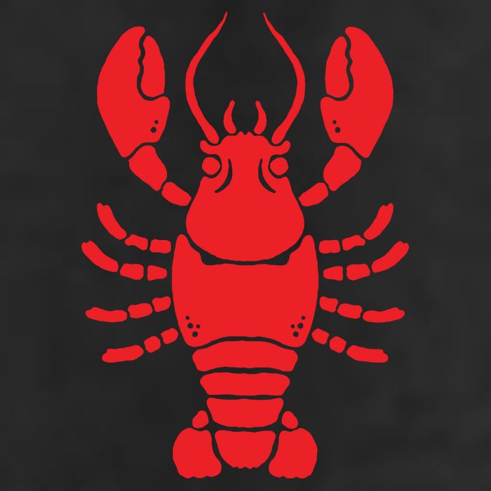 Lobster Adult Drive Performance Visor