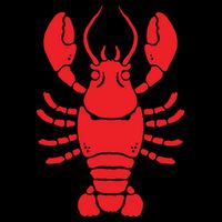 Lobster Cropped Pullover Crew
