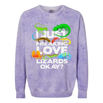 Lizard Lover Reptile Types Of Lizards Funny Lizard Colorblast Crewneck Sweatshirt