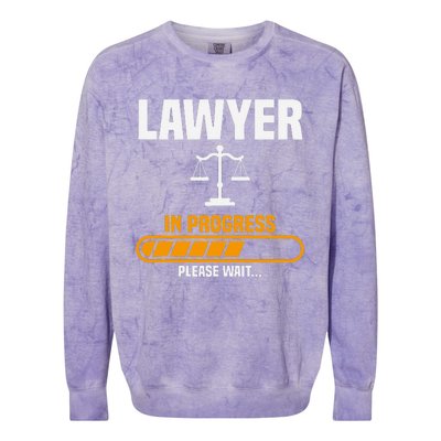 Lawyer Law School Prosecuting Criminal Defense Attorney Colorblast Crewneck Sweatshirt