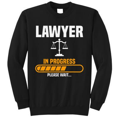 Lawyer Law School Prosecuting Criminal Defense Attorney Sweatshirt