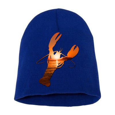 Lobster Lovers Silhouette Earth Day And Ocean Week Meaningful Gift Short Acrylic Beanie