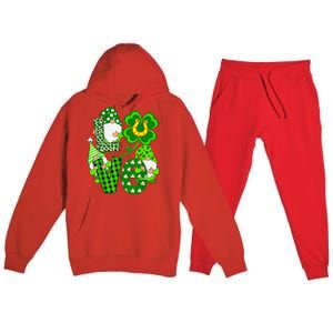 Leopard Love Three Gnomes Lucky Shamrock St Patrick's Day Premium Hooded Sweatsuit Set