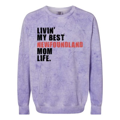 Livin My Best Newfoundland Mom Life Adc080d Gift Colorblast Crewneck Sweatshirt