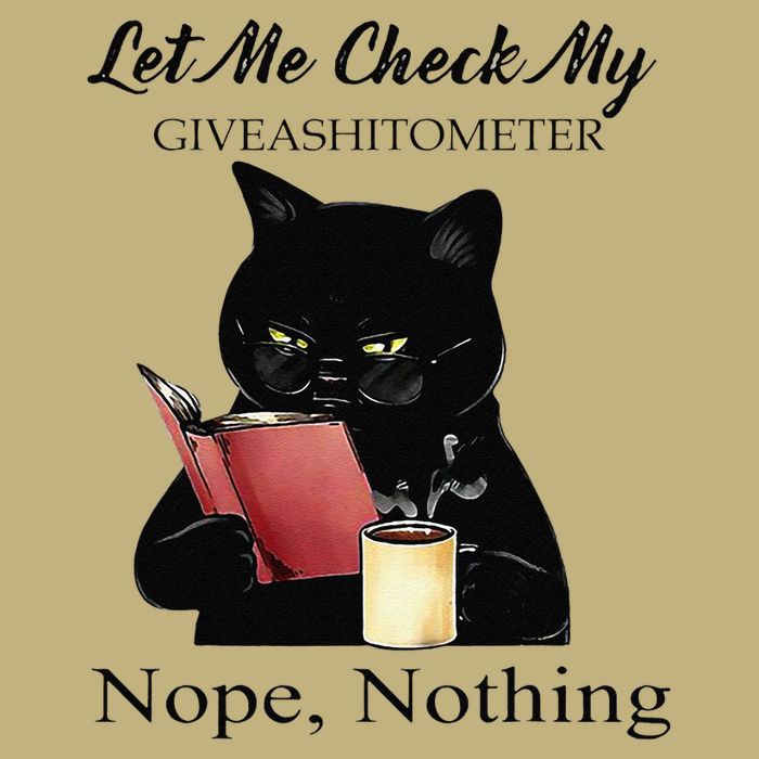 Let Me Check My Giveashitometer Nope Nothing Black Cat Sustainable Beanie